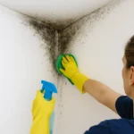Eliminar moho de paredes y techos